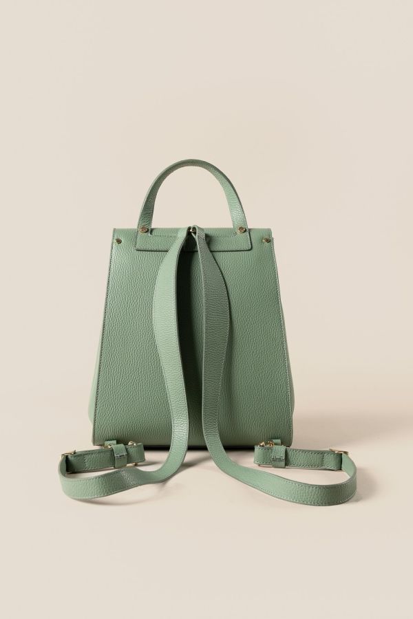 1272 Vitello Salvia 415